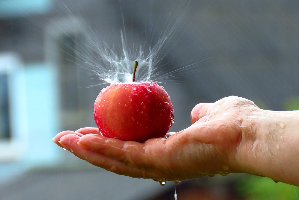 Photograph by Ромил Федоров