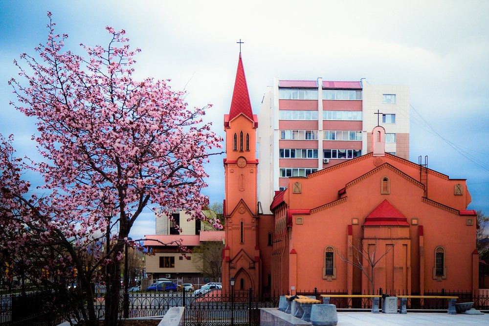 Фотография автора Olena Vorotyntseva