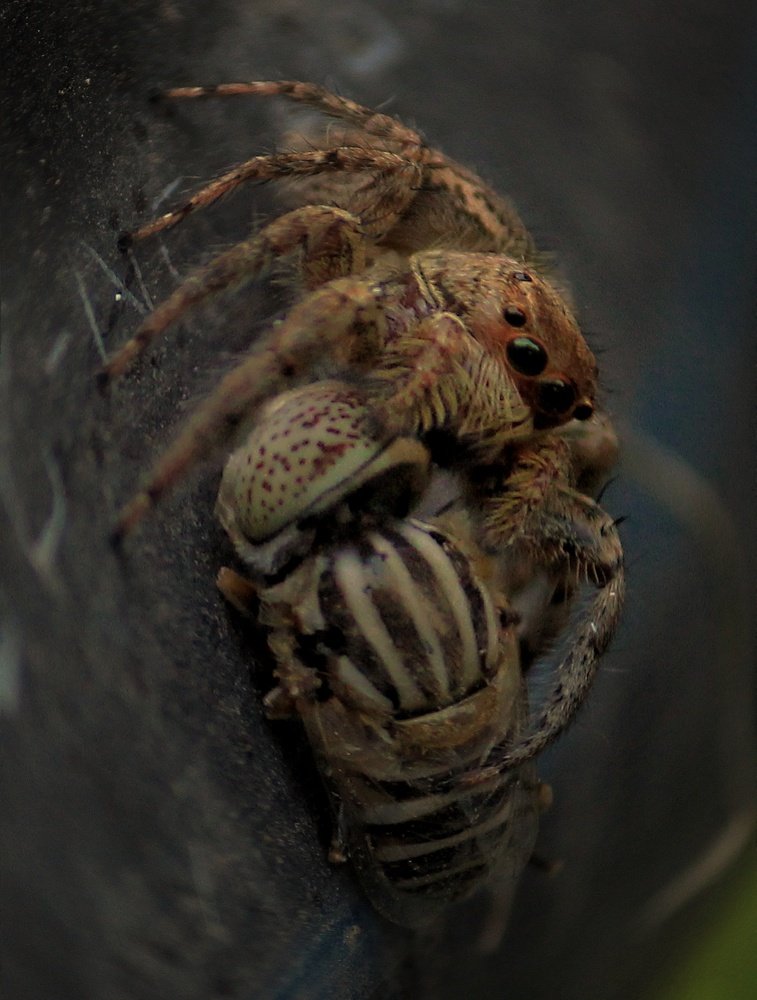 Photograph by Saurabh upadhyay