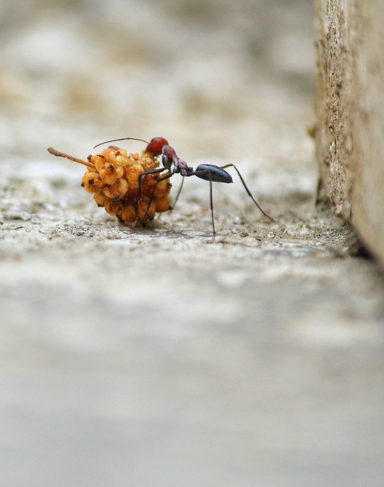 Photograph by Saurabh upadhyay