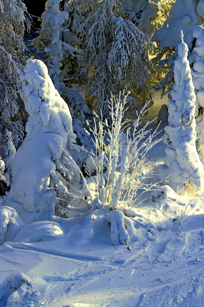 Photograph by Николай Диордиев