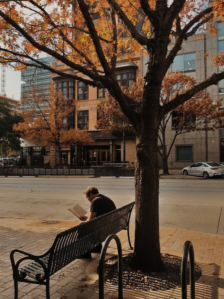 Entre páginas y hojas.