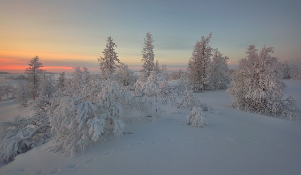 Photograph by Февралев Дмитрий