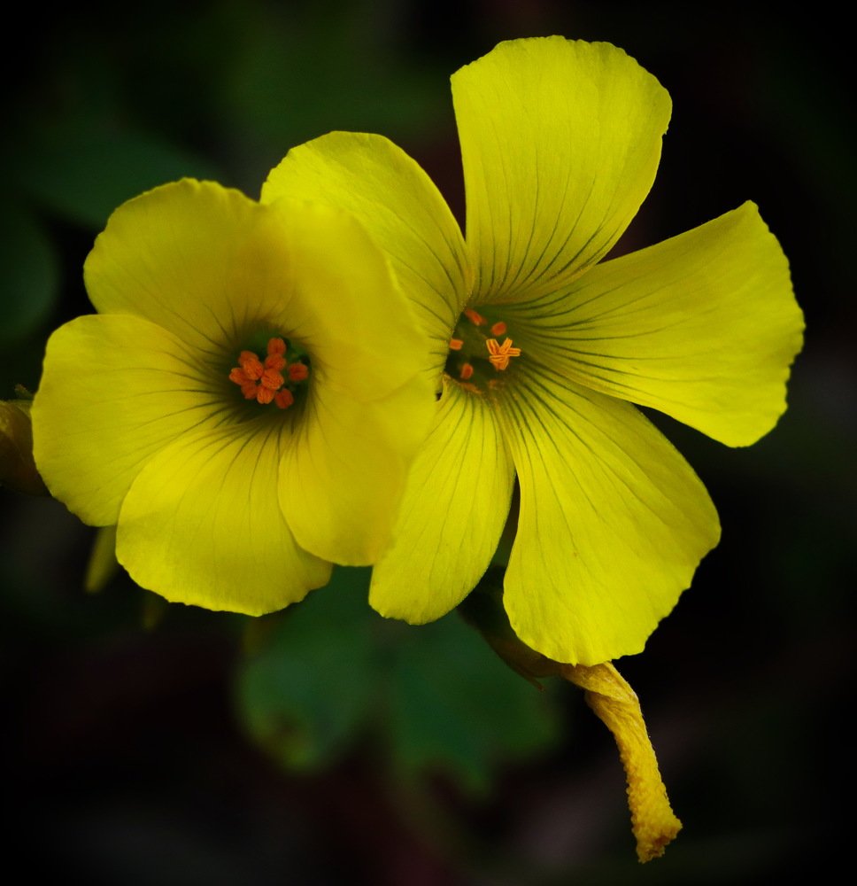 Photograph by Евгений Михеев