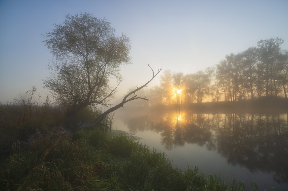 Photograph by Игорь