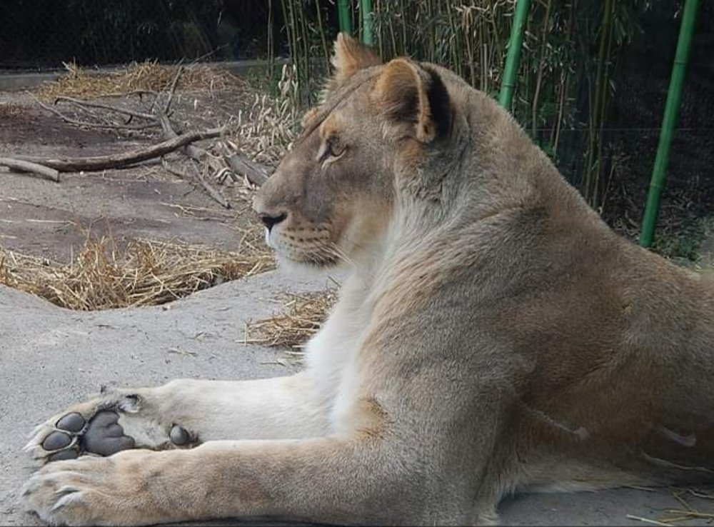 Photograph by Tricia waddell