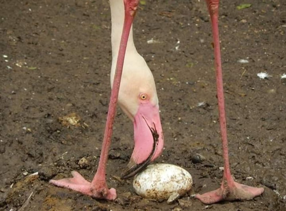 Photograph by Tricia waddell