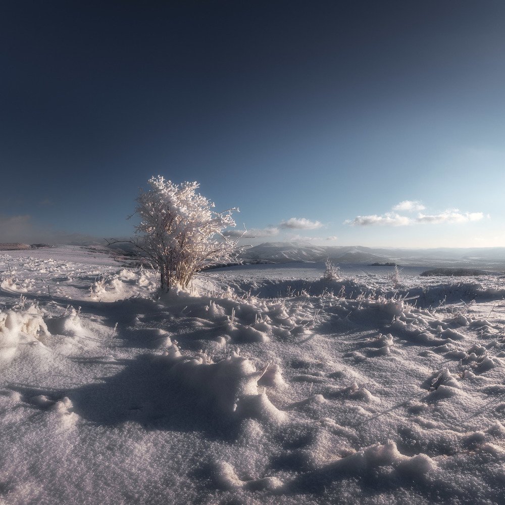 Photograph by Oleg Feofanov