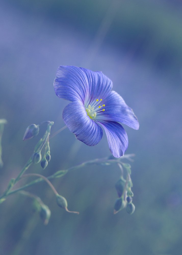 Photograph by Lara Stratova