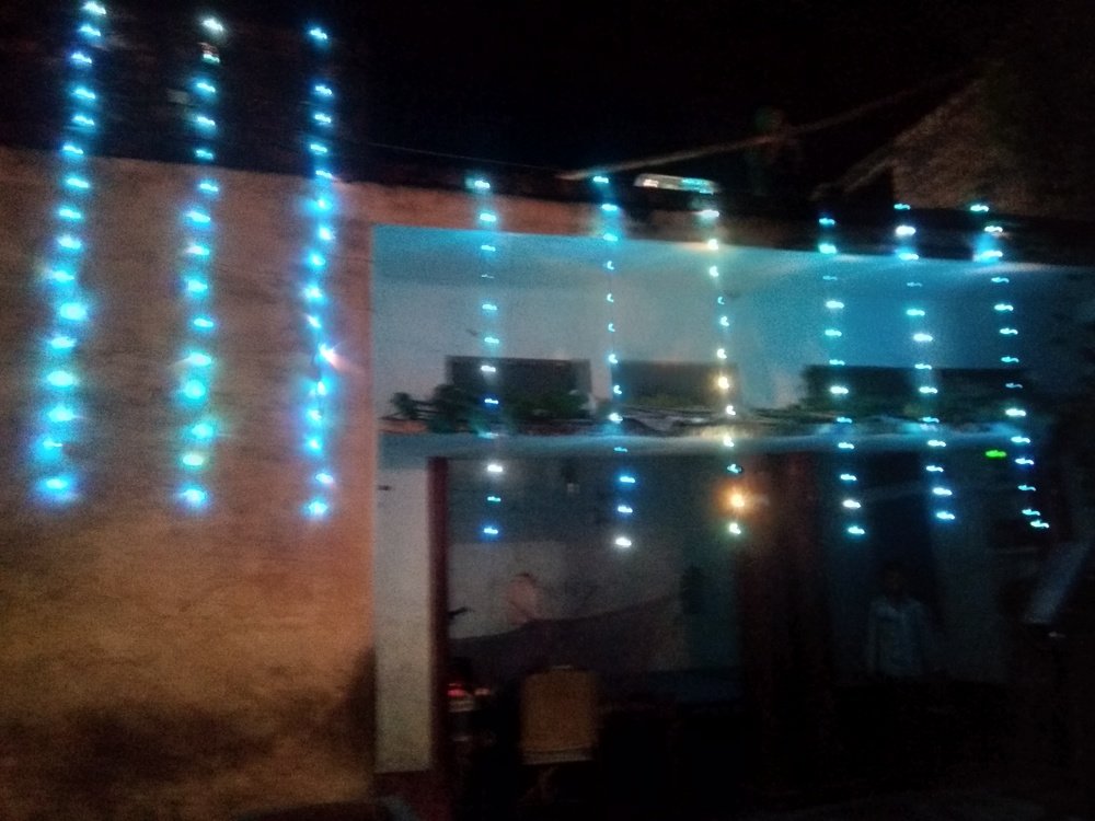 Photo #4351116