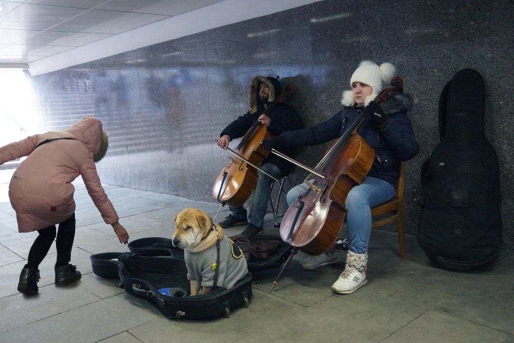 Печальная музыка.