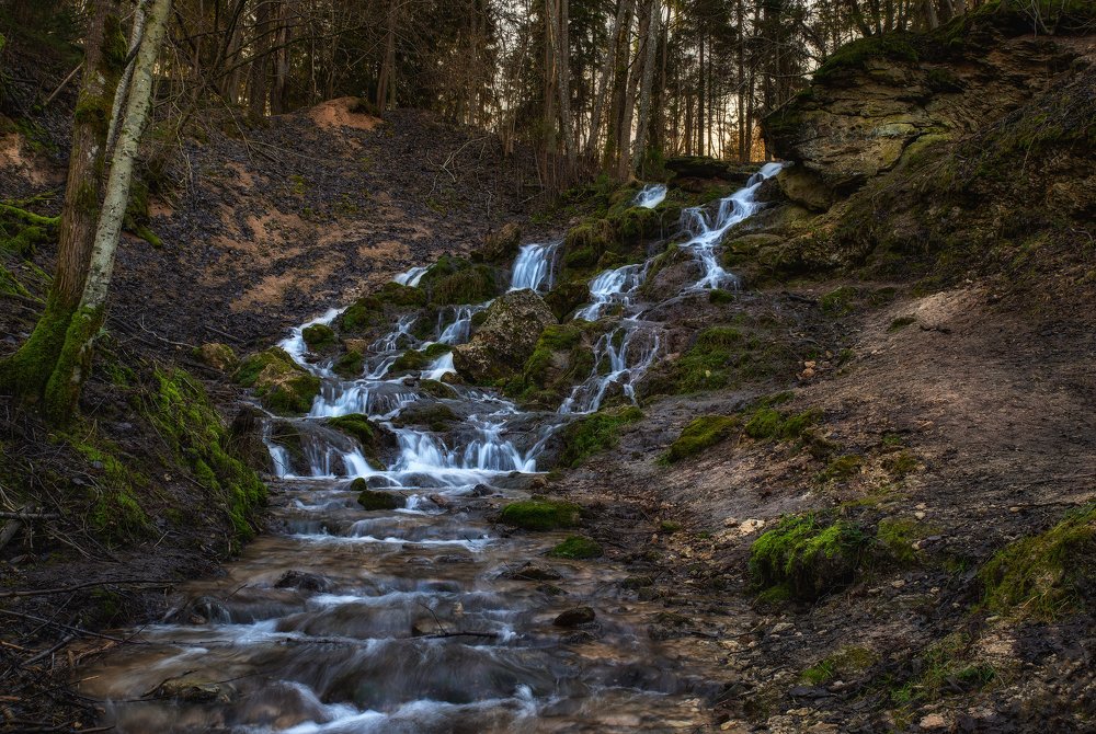 Photograph by Dace Spalviņa