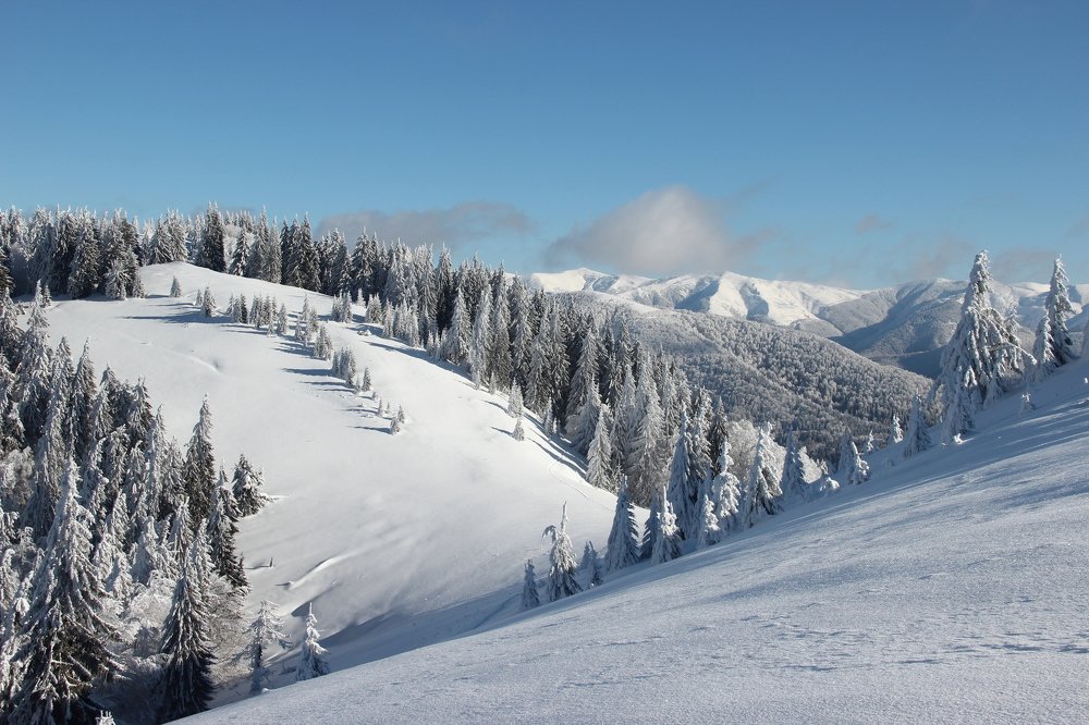 Photograph by Claudiu Tanase