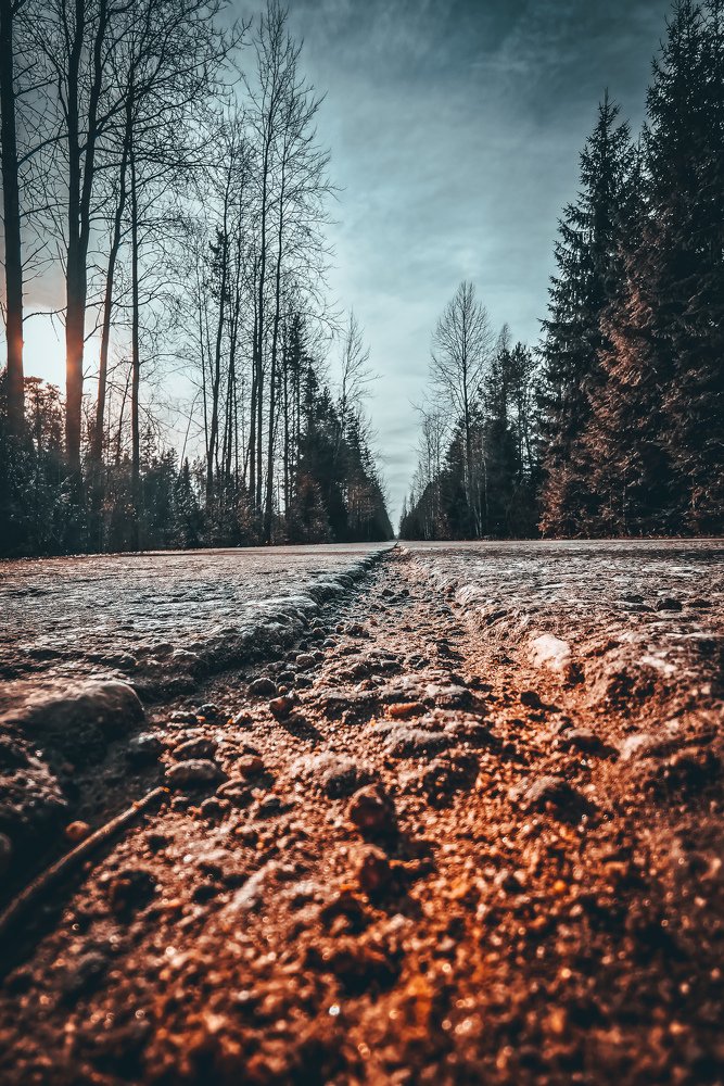 Ленинградская область