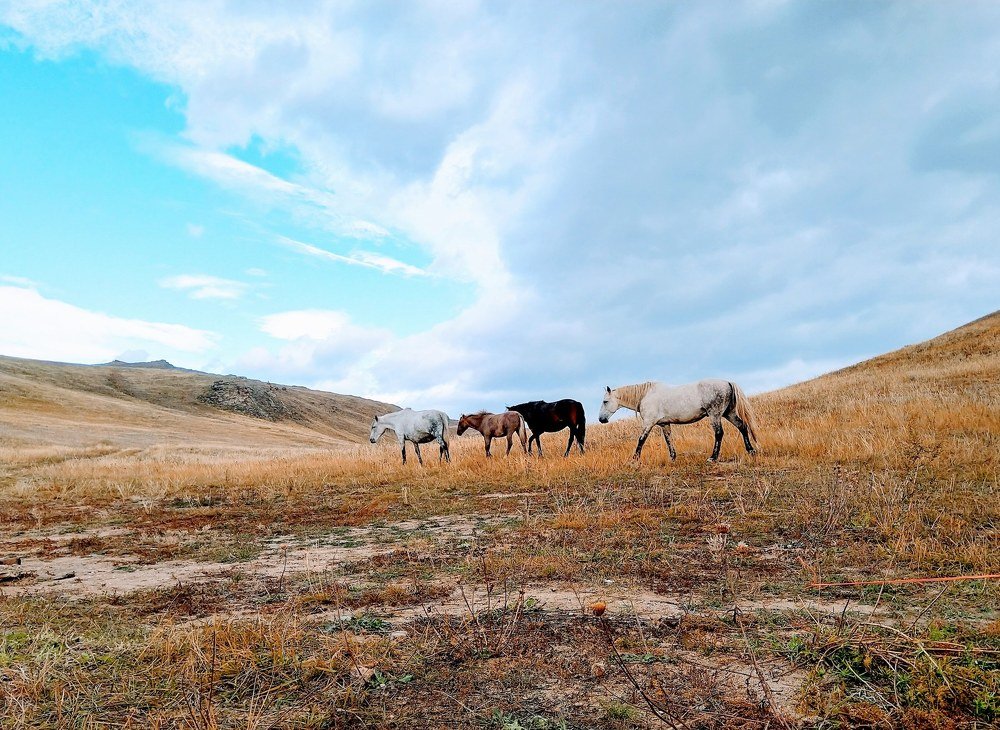 Photograph by Иван Фокин