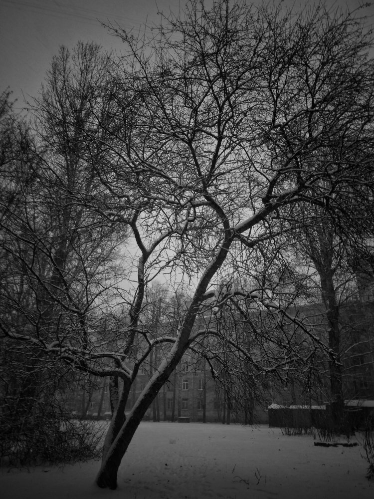 Фотография автора Виктор Конев