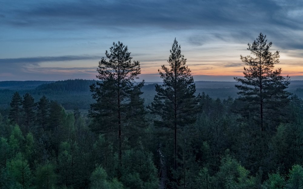 Photograph by Silja Tamme