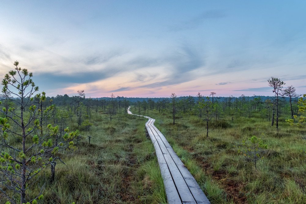 Photograph by Silja Tamme