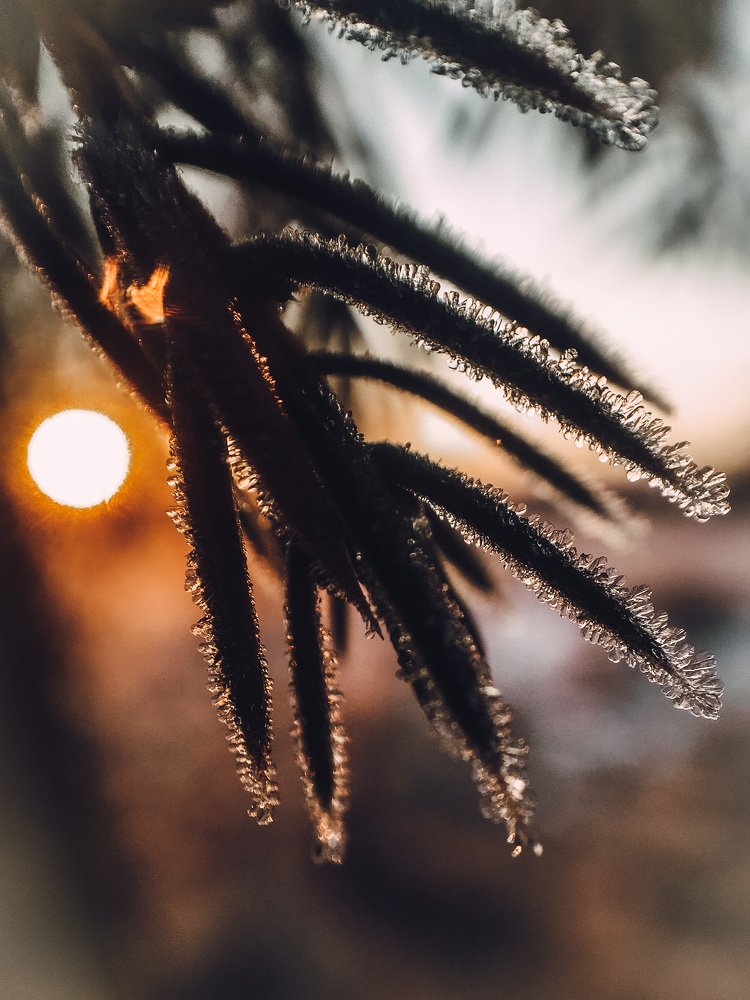 Photograph by Ольга Мурзина