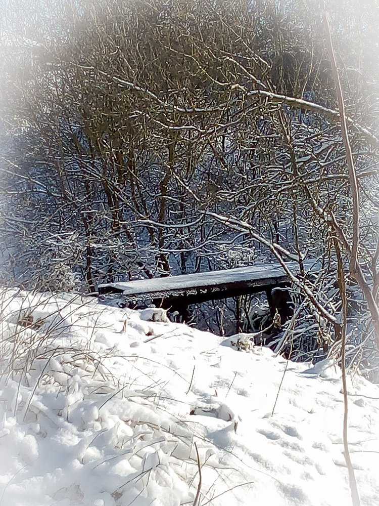 Photo #4351540