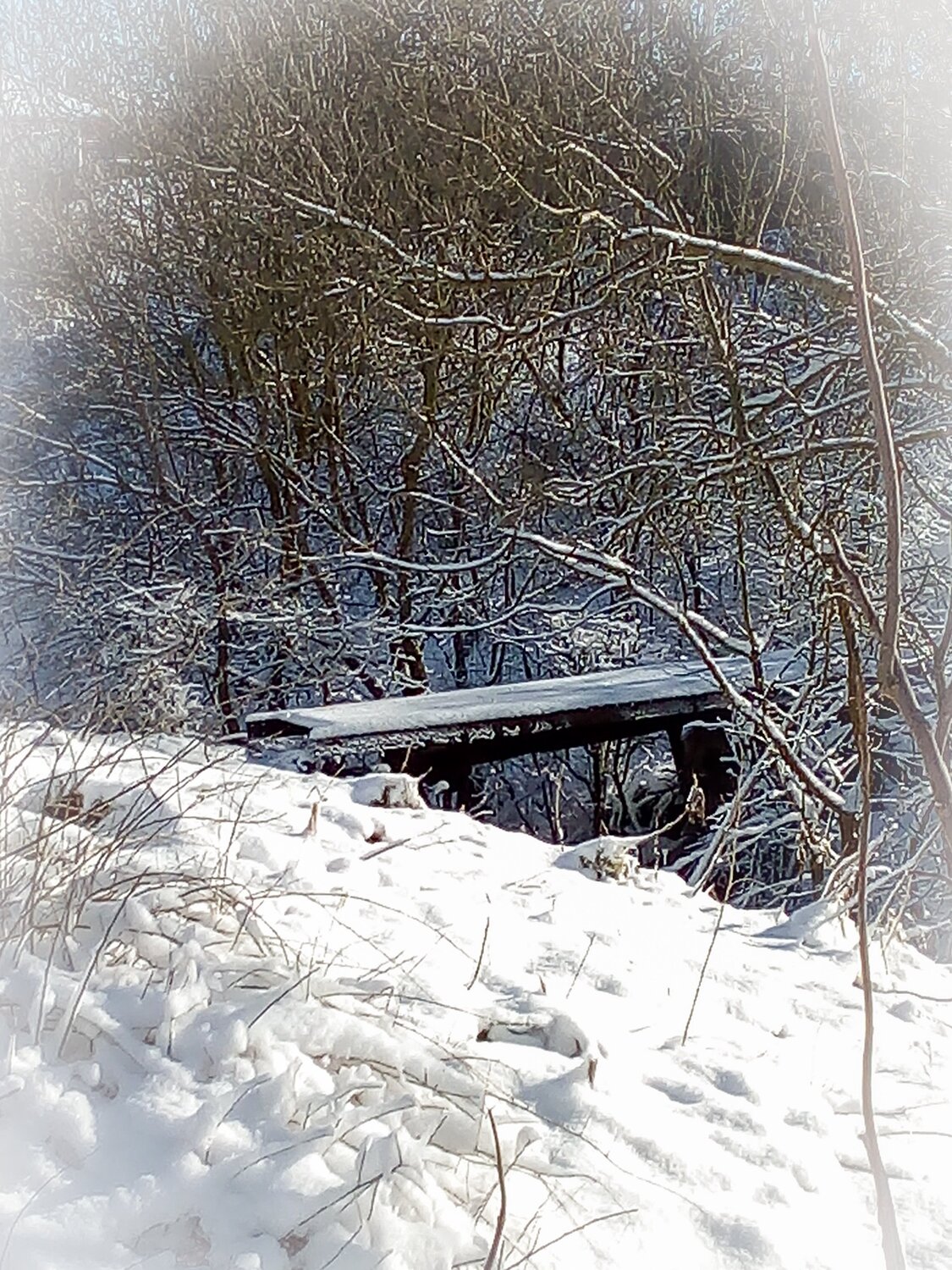 Photo #4351540
