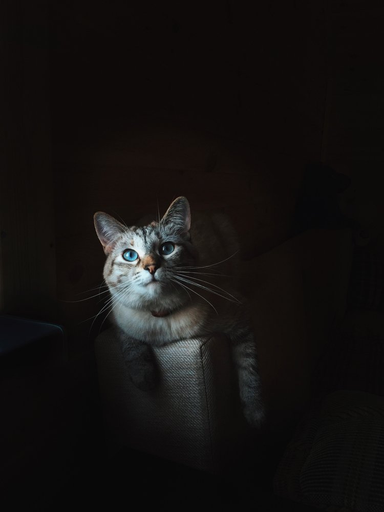 Photograph by Зарина Маснева