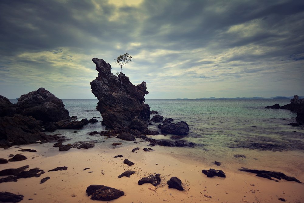 Фотография автора Юлия Демина