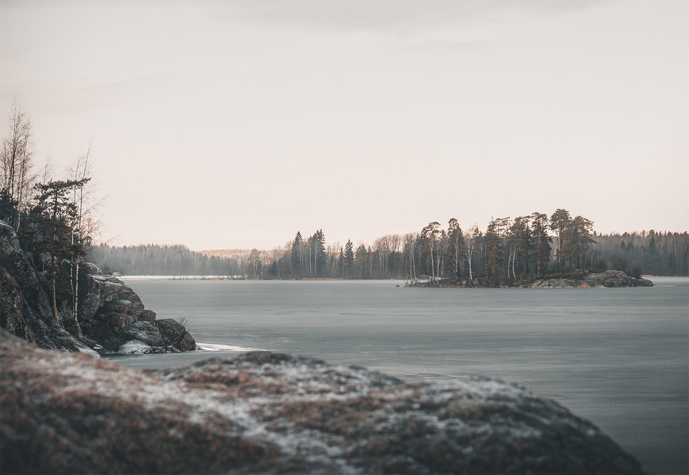 Photo #4351626