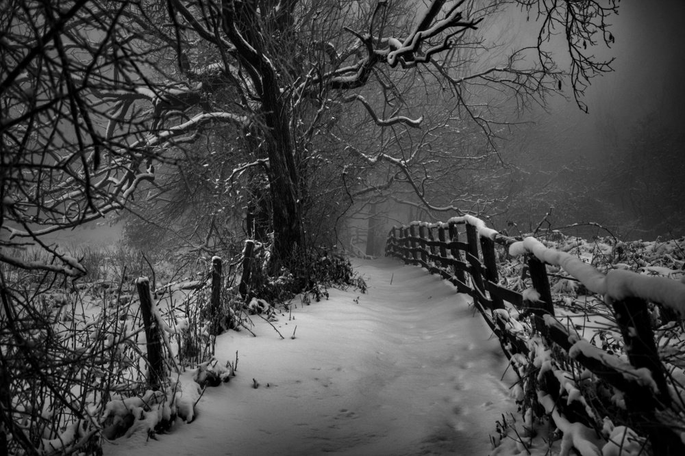 Photograph by Nebojša Kovač