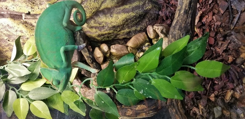 Photo #4351633