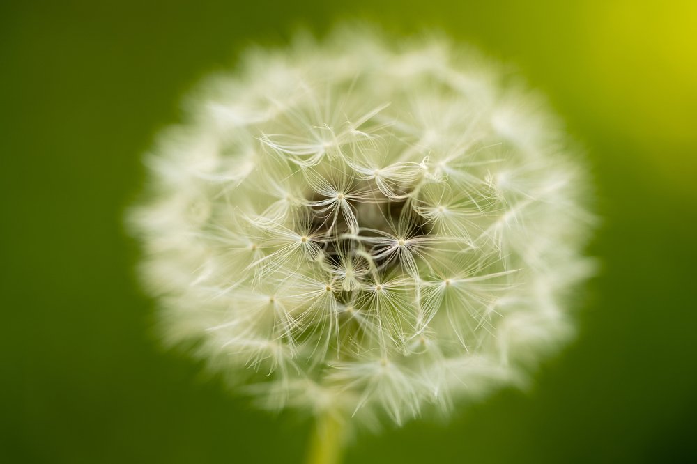 Photograph by Claudiu Tanase