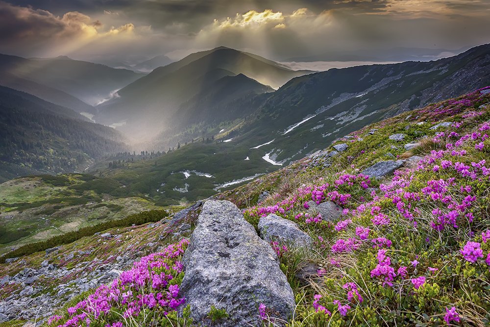 Mountain peeps and sun