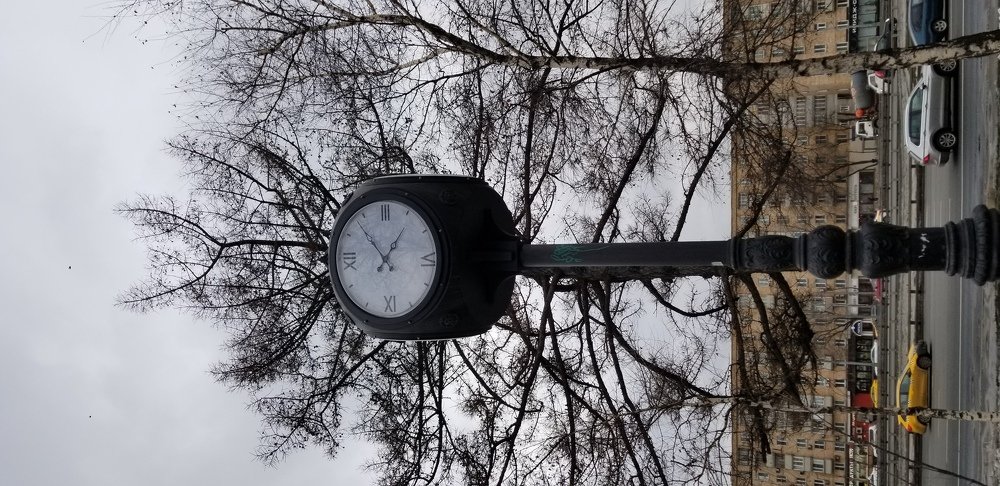 Photo #4351744