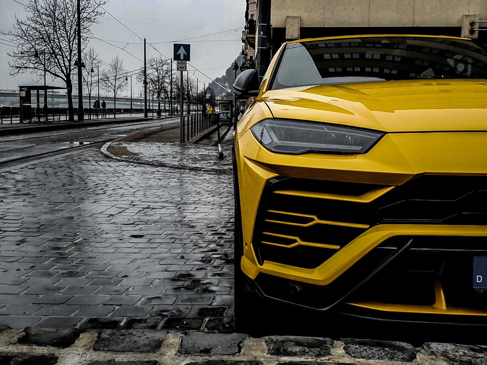 Photograph by Shelever William