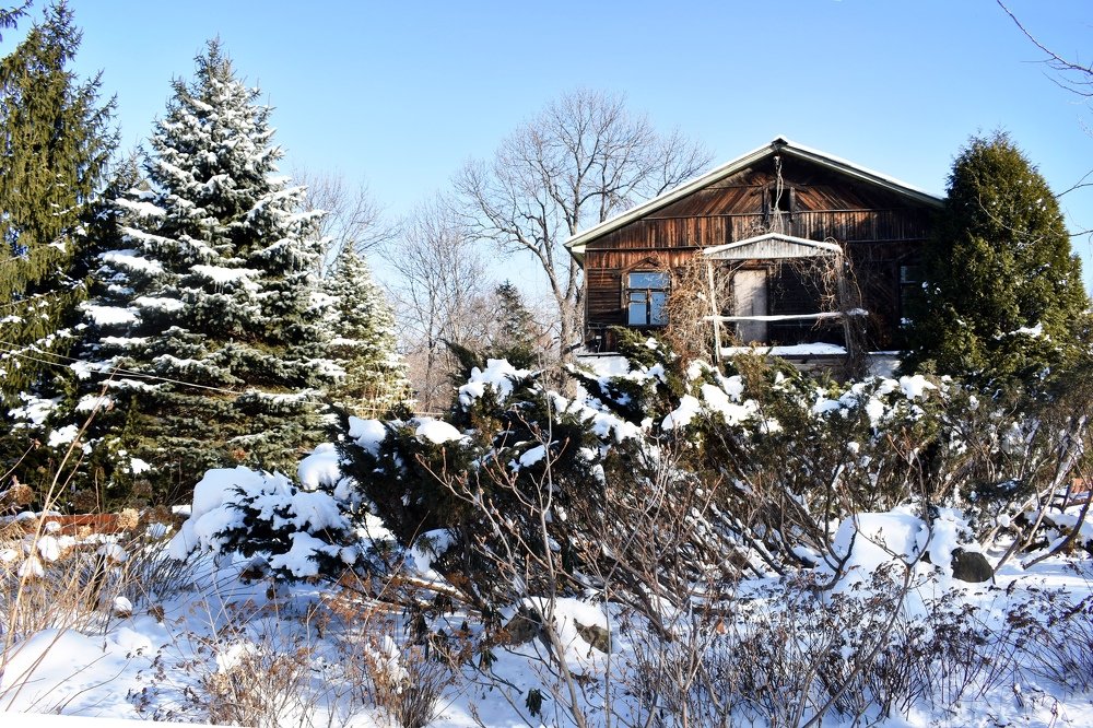 На заснеженных тропинках .