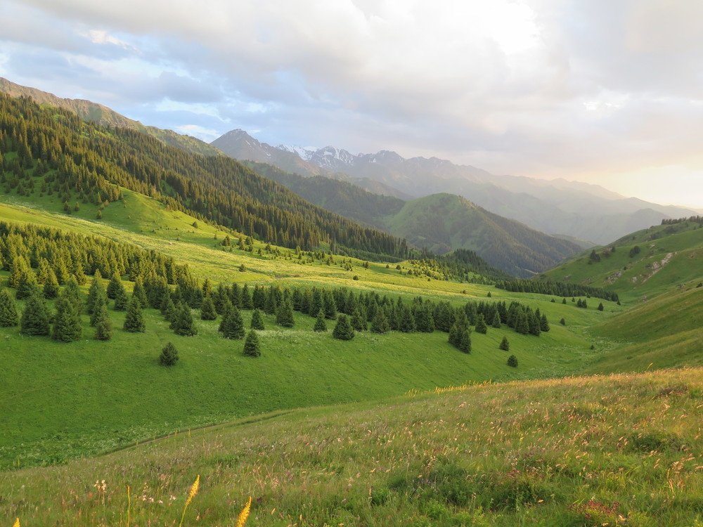 Photo #4351882