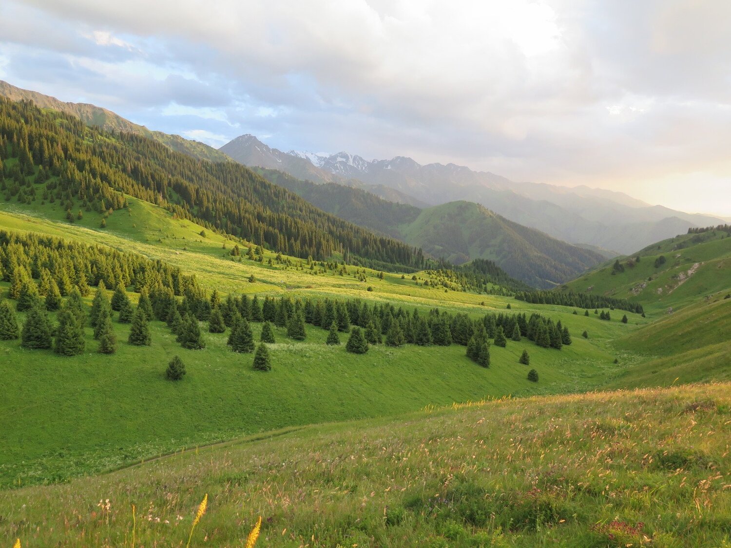 Photo #4351882