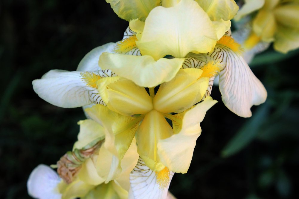 Photograph by Ольга Белостоцкая