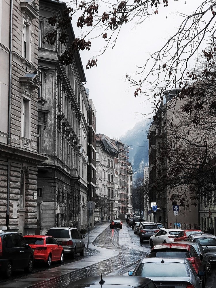 Photograph by Shelever William