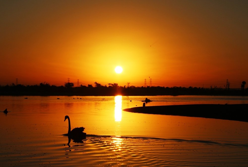 Безметежность