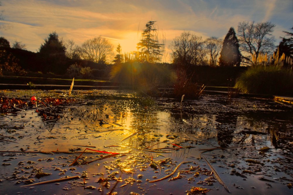 Photograph by Sebastian Ioan Pop