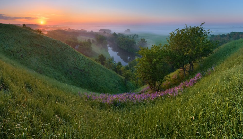 Был месяц май ...