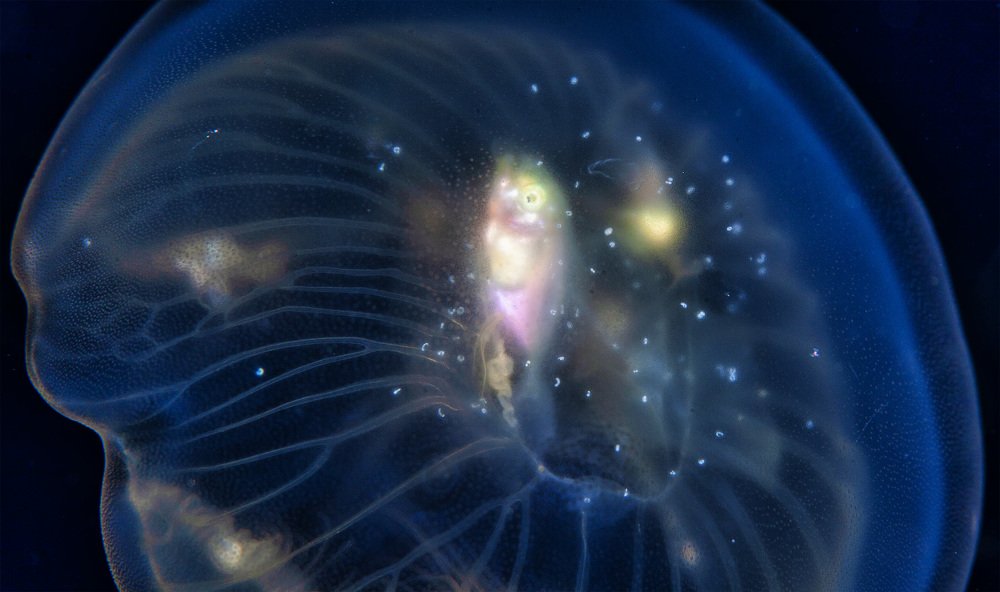 Фотография автора Нарчук Андрей