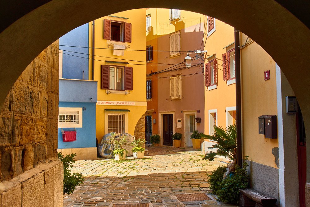 Фотография автора David Solodar