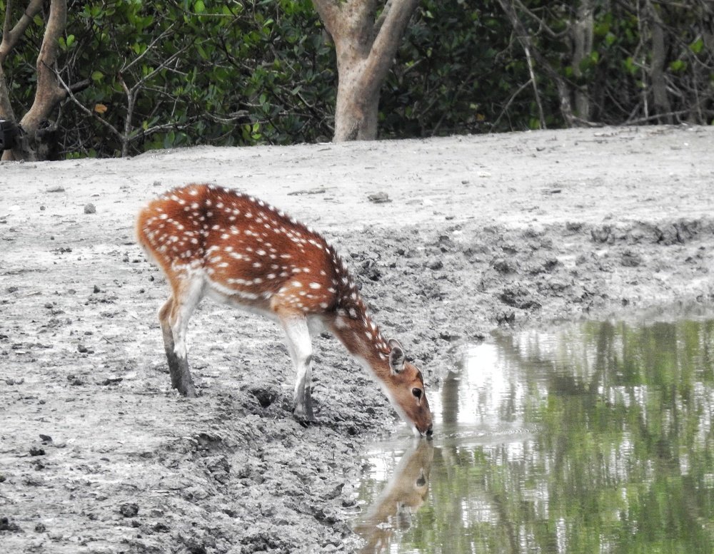 Photograph by Madhurima Banerjee