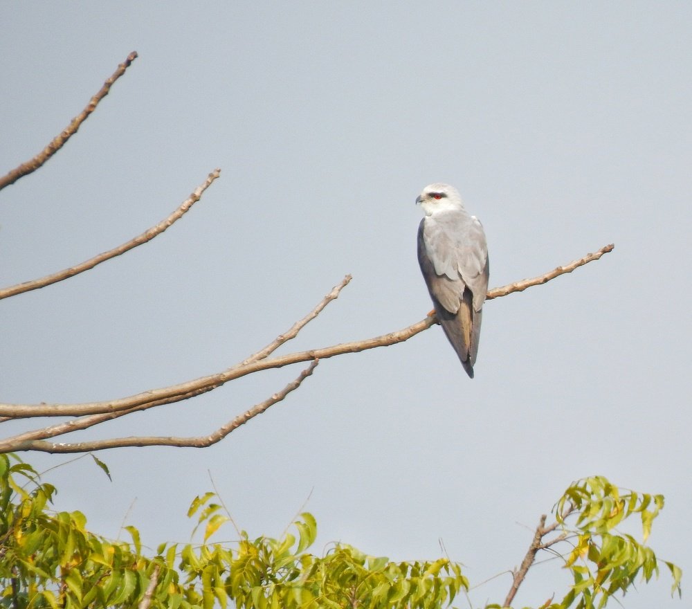 Photograph by Madhurima Banerjee