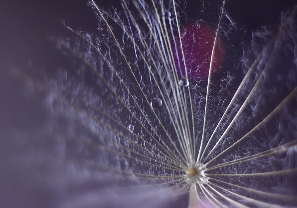 Фотография автора Дарья Воронина