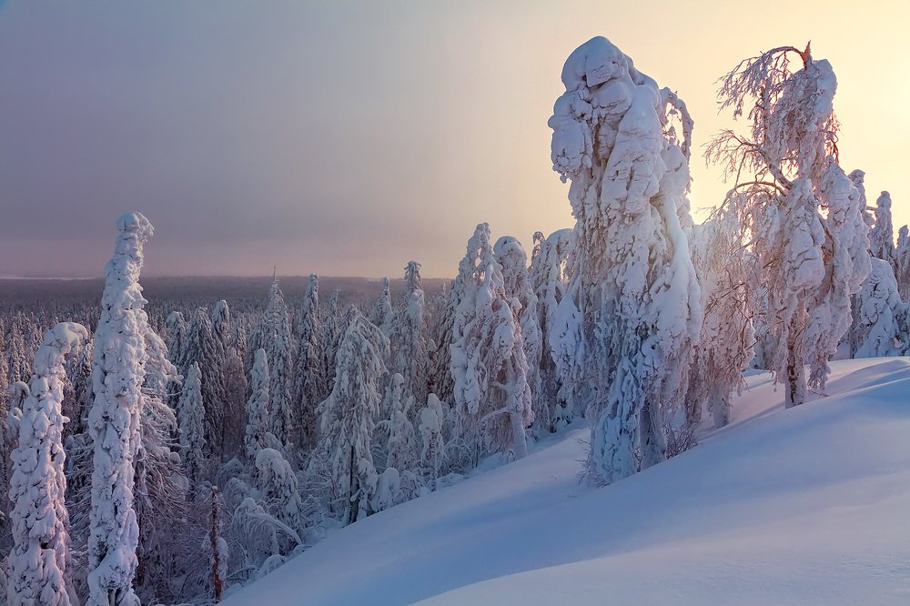 Усталые стражи рассвета