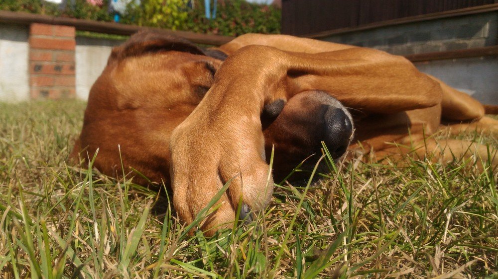 Кто нибудь выключите солнце