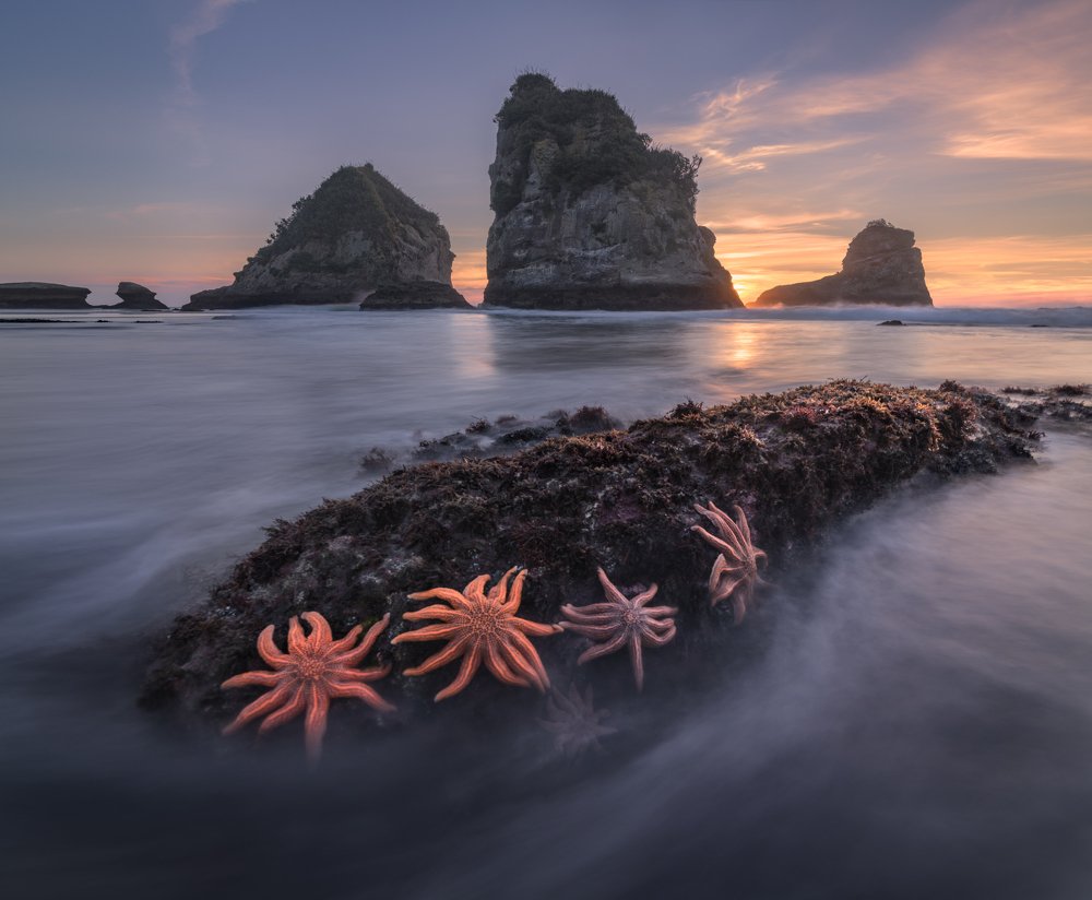 Звездный остров